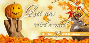 Total wilder Herbst